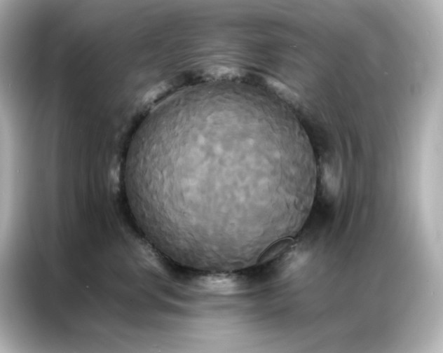 X0000086920668200704301058