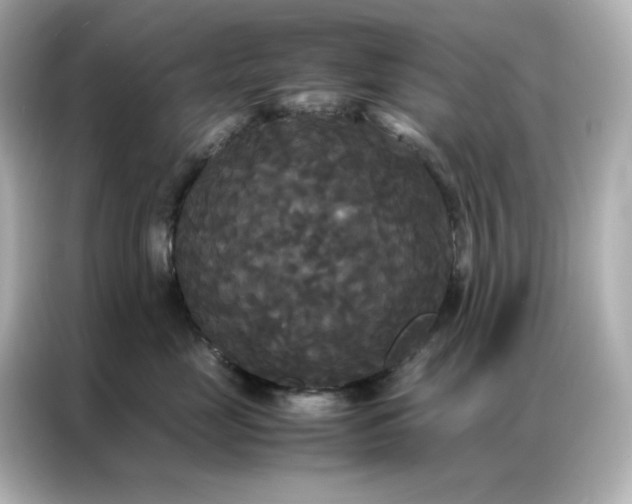 X0000086920669200704301058