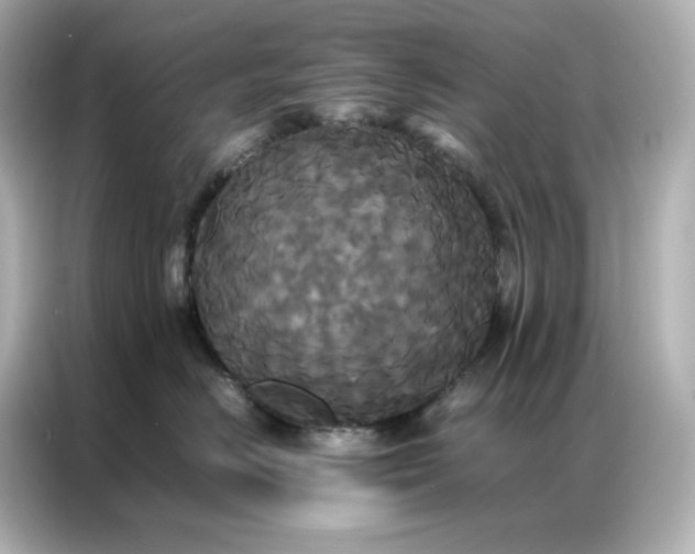 X0000086920670200704301058