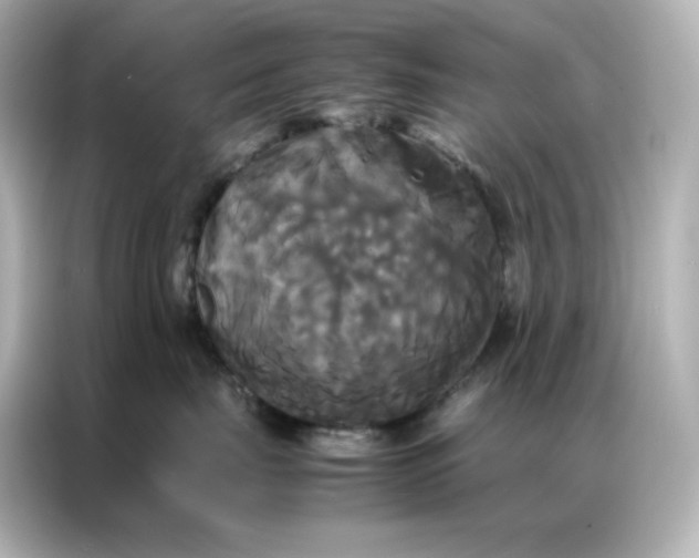 X0000086920671200704301058