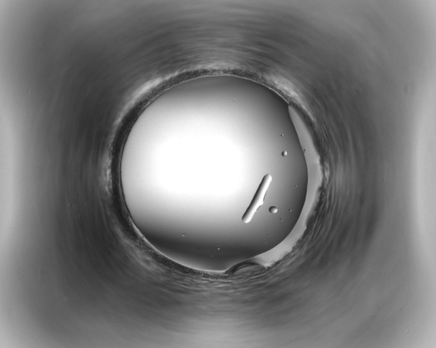 X0000086920676200704301057