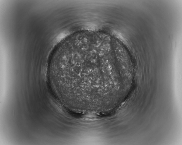 X0000086920679200704301057