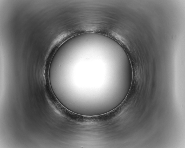 X0000086920682200704301057