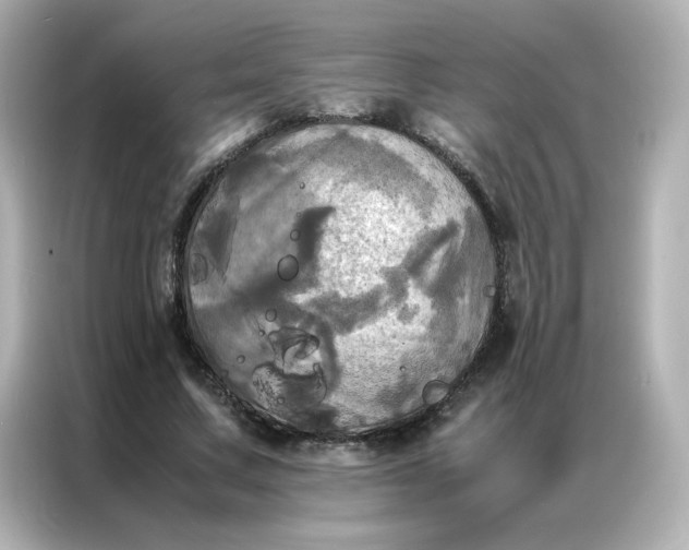 X0000086920683200704301057