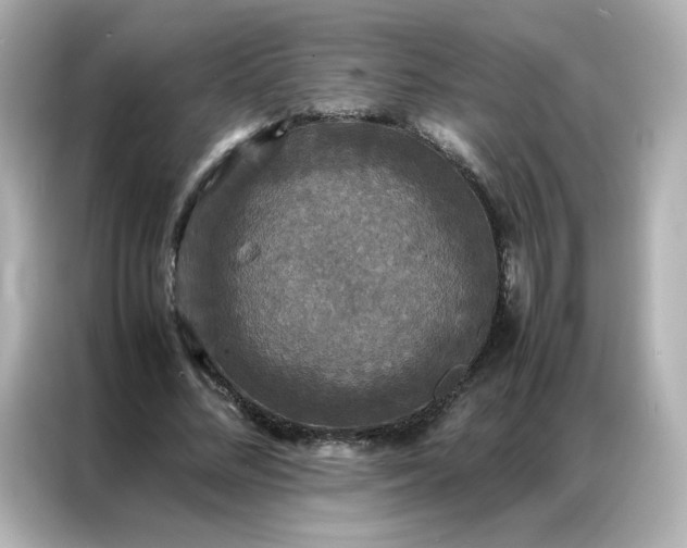 X0000086920684200704301057