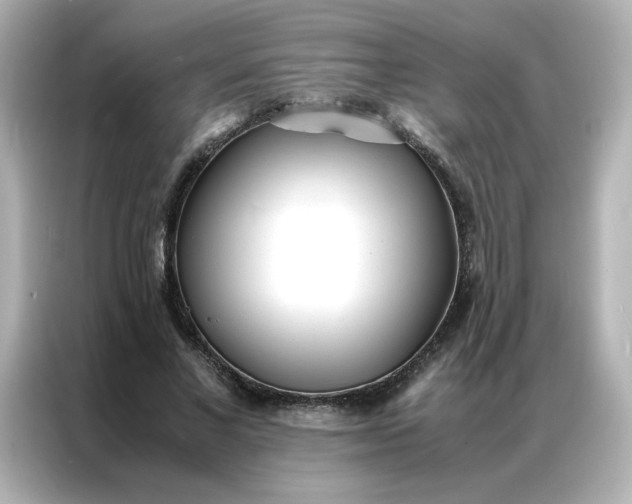 X0000086920685200704301057