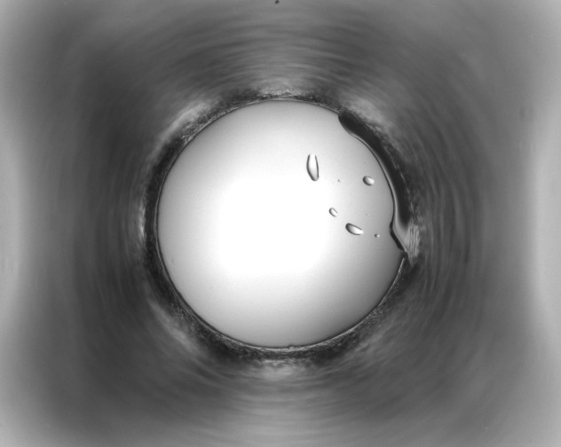 X0000086920686200704301057