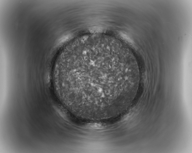 X0000086920687200704301057