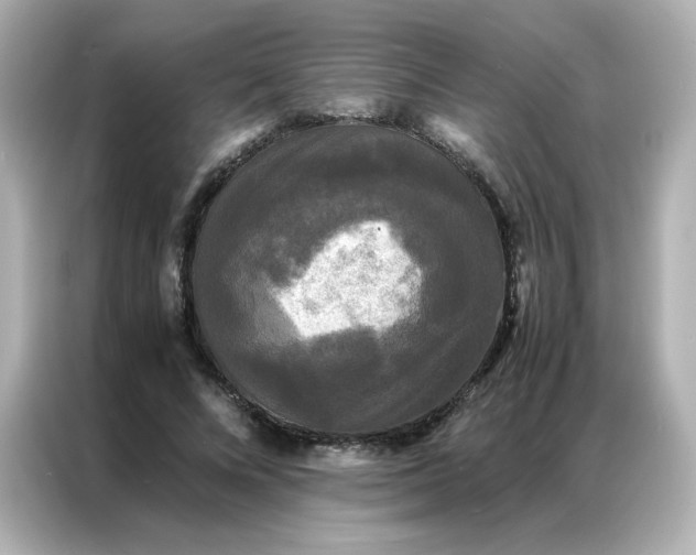X0000086920688200704301057