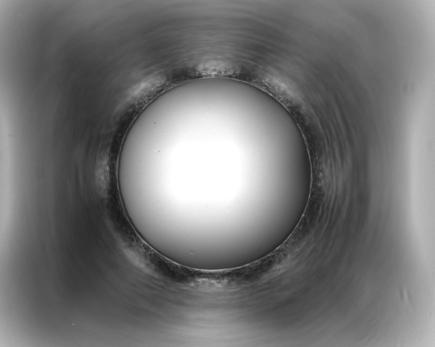 X0000086920690200704301057