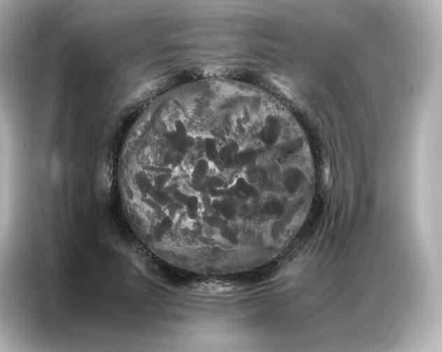 X0000086920691200704301057