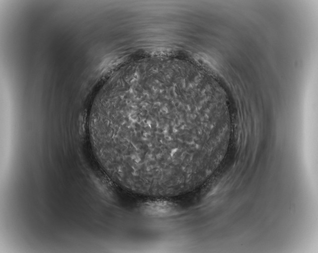 X0000086920695200704301057