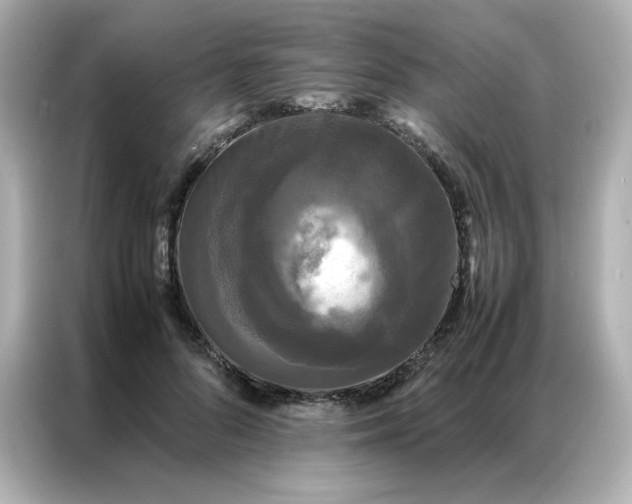 X0000086920696200704301057