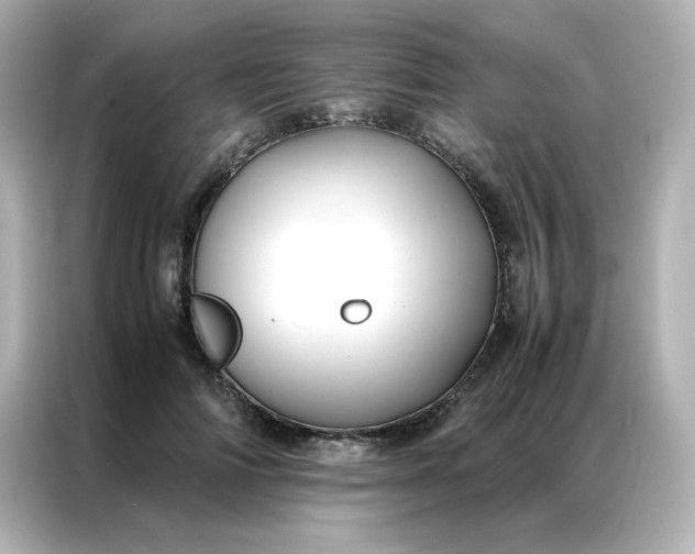 X0000086920698200704301057