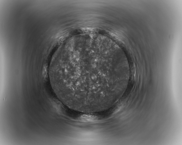 X0000086920699200704301057