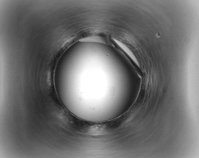 X0000086920700200704301057