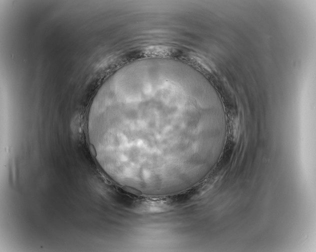 X0000086920701200704301057