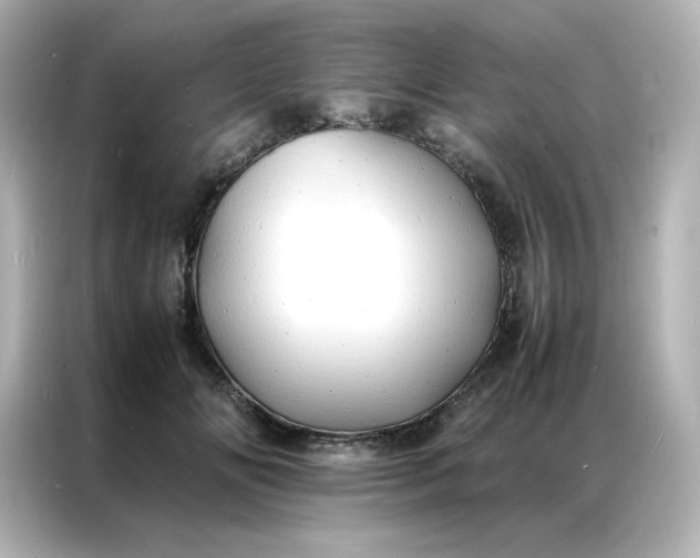 X0000086920702200704301057