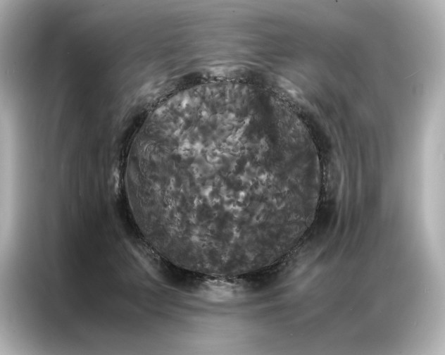 X0000086920703200704301057