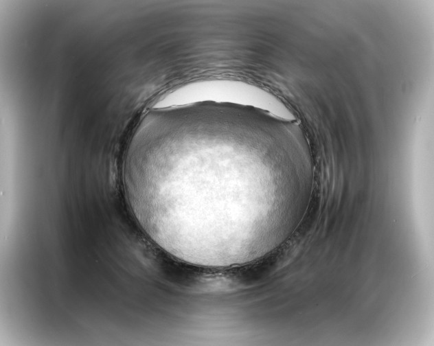 X0000086920704200704301057