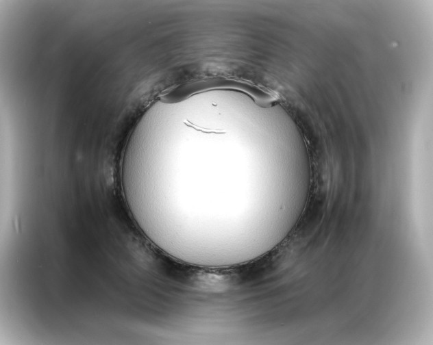 X0000086920706200704301057