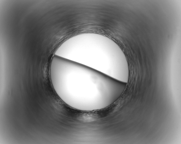 X0000086920708200704301057