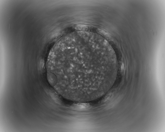 X0000086920711200704301057