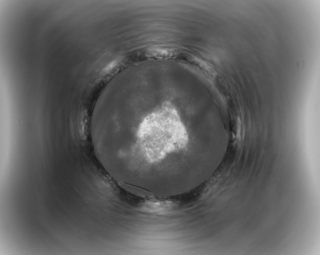 X0000086920712200704301057