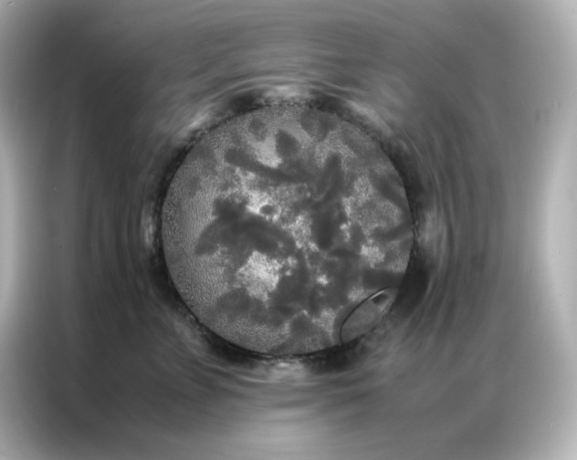 X0000086920715200704301057