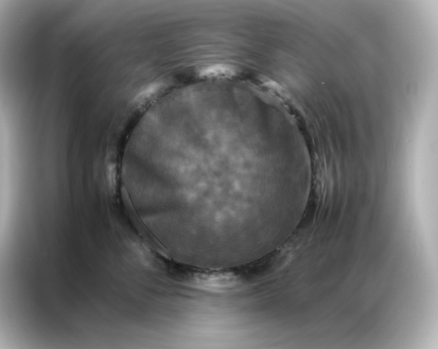 X0000086920716200704301057