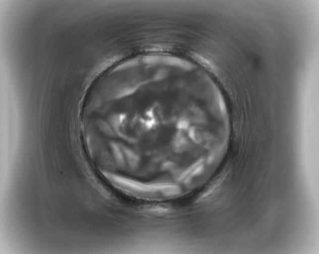 X0000086920721200704301056