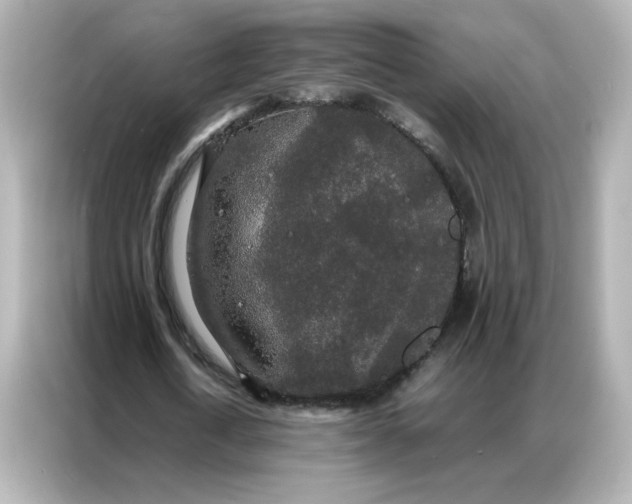 X0000086920722200704301056
