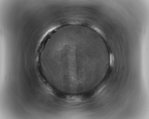 X0000086920723200704301056