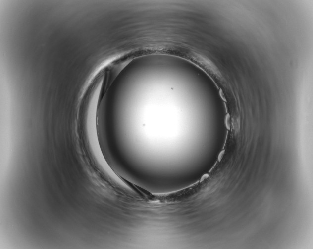 X0000086920724200704301056