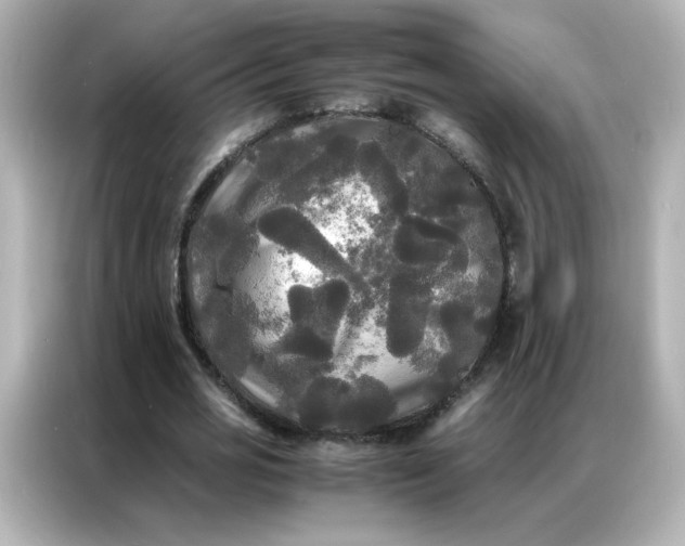 X0000086920725200704301056