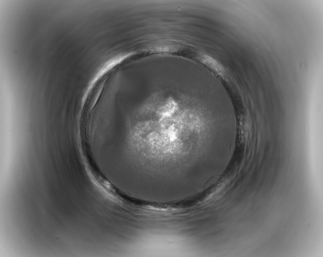 X0000086920726200704301056
