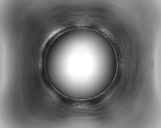 X0000086920727200704301056