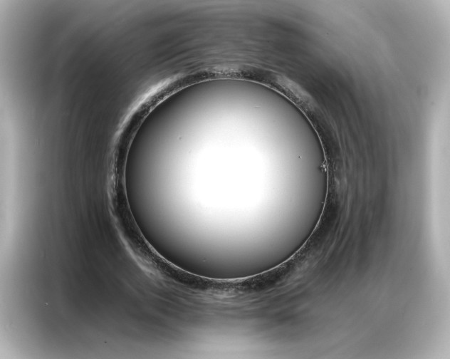 X0000086920728200704301056