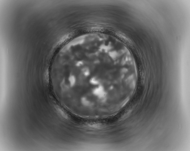 X0000086920729200704301056