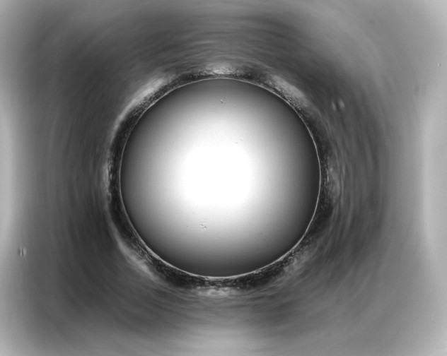 X0000086920730200704301056