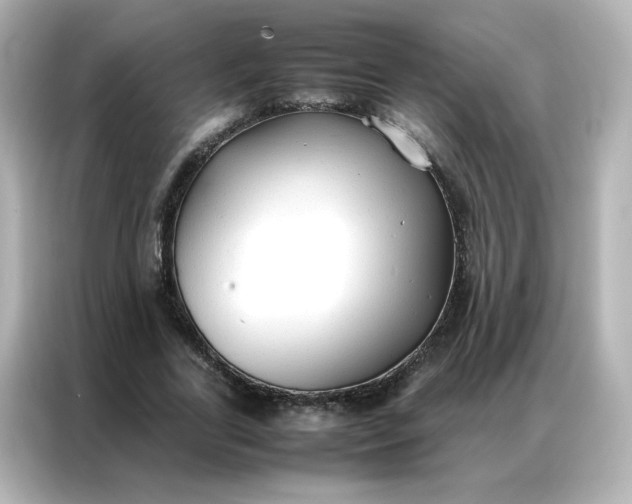 X0000086920731200704301056