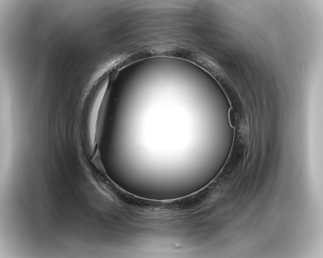 X0000086920732200704301056
