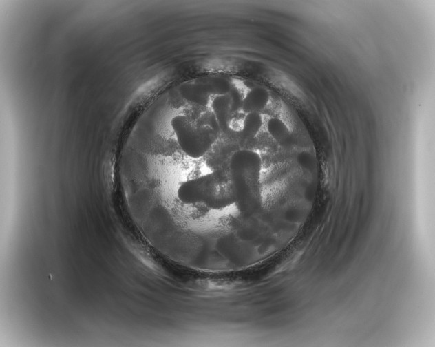X0000086920733200704301056
