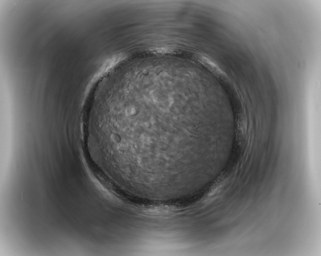 X0000086920734200704301056