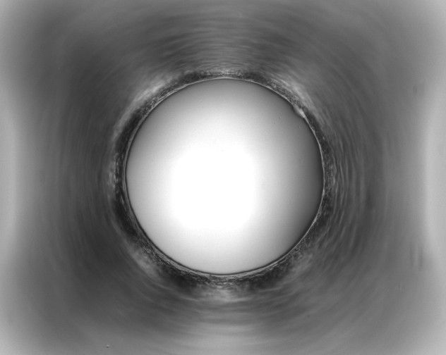 X0000086920736200704301056