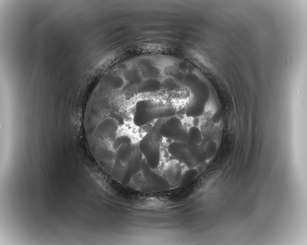 X0000086920737200704301057