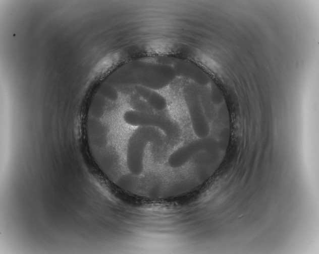 X0000086920738200704301057