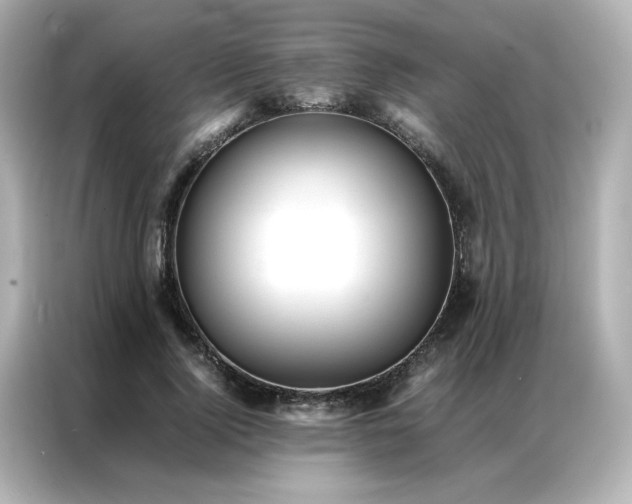 X0000086920740200704301057
