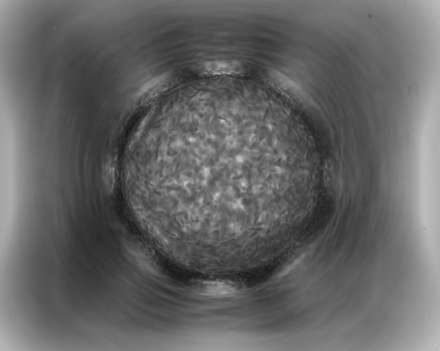 X0000086920741200704301057