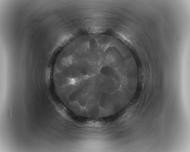 X0000086920742200704301057